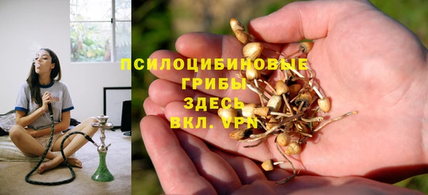 индика Беломорск