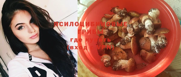 кокаин Богданович